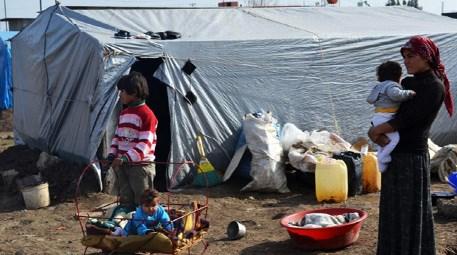 Yüreğir Belediyesi, Suriyeli sığınmacılara çadır kent kuruyor 