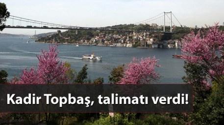 İstanbul’un havası 115 bin ağaç ile değişecek!