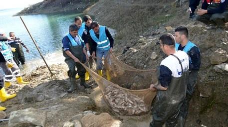 Balıklar barajda mahsur kaldı, belediye ekipleri kurtardı