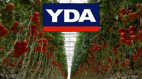 İnşaatçı YDA, organik domates için kolları sıvadı