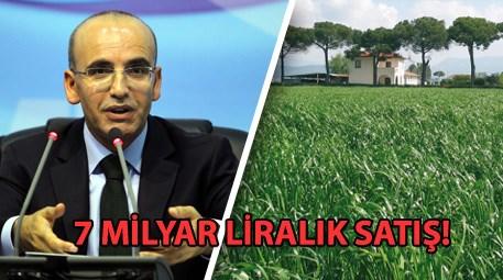 Mehmet Şimşek, 2B arazilerindeki son rakamları açıkladı
