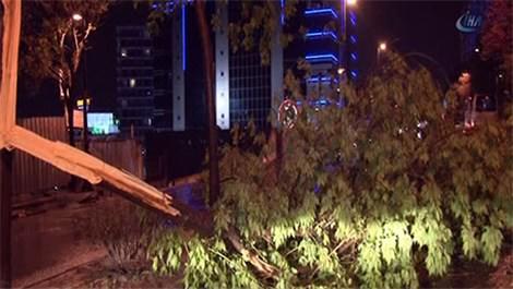 İstanbul’da fırtına ağaçları devirdi!