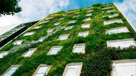 Dünya Çevre Günü’nde yeşil binalar konuşulacak!
