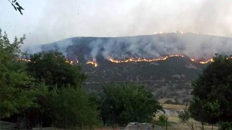 Bingöl'deki orman yangını köyleri tehdit ediyor