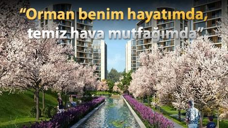 Resim İstanbul Orman’dan bayram müjdesi! 