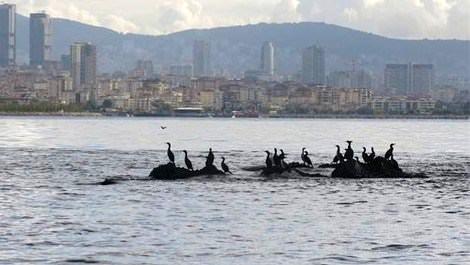 İstanbul'un kayıp adası Vordonisi gün yüzüne çıkarılıyor