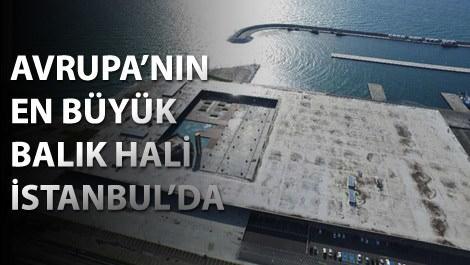 İstanbul Su Ürünleri Hali, artık Gürpınar'da!