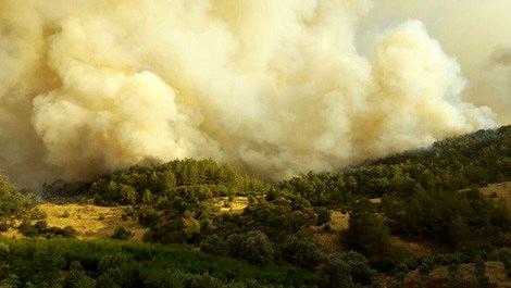 Antalya Kumluca'da orman yangını!