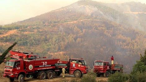 Seferihisar'daki 60 hektarlık alanda orman yangını 