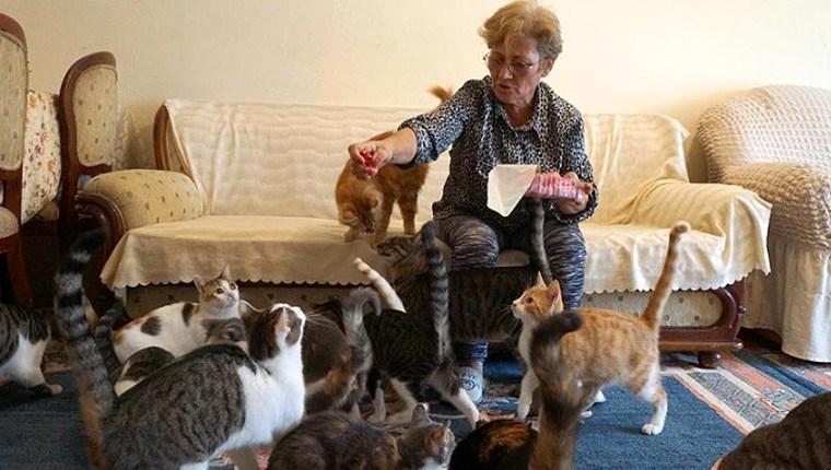 80 kedisiyle yaşayan kadın kiralık ev arıyor