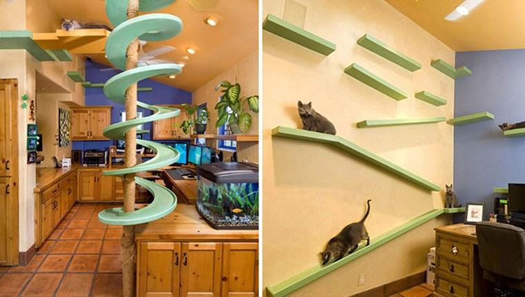 Kediniz için evde yaşam alanı açan dekorasyon modelleri