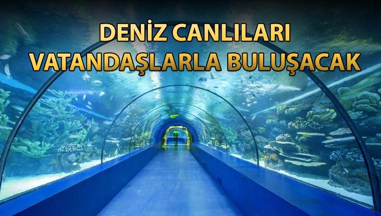 Trabzon'da iki  vadi arasına 'Tünel Akvaryum' yapılacak 
