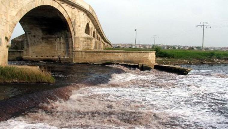 Ergene Nehri, kirlilik nedeniyle yaşam savaşı veriyor!