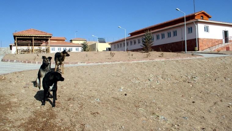 Elazığ'da açılan hayvan hastanesi otel hizmeti verecek 