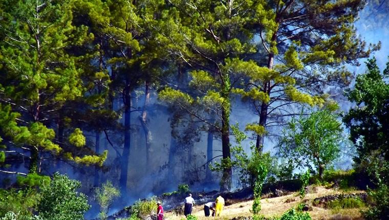 Alanya'daki orman yangınında 10 ev zarar gördü