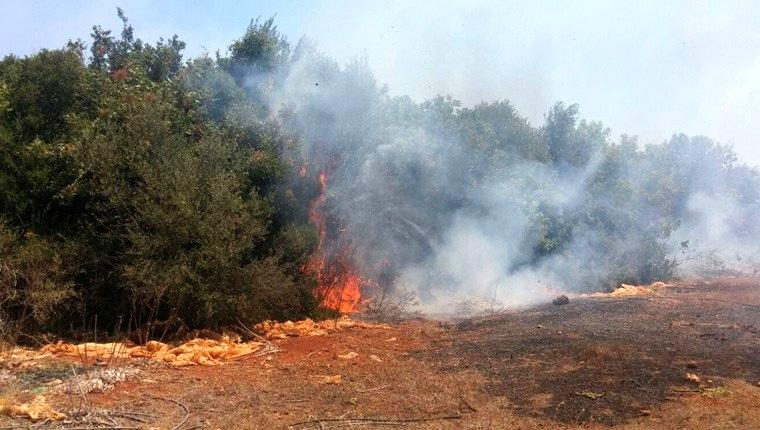 Antalya'daki yangın bölgesinde evler boşaltıldı