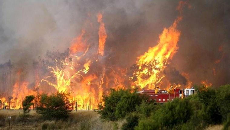 Avustralya'daki yangında 5 ev kül oldu!