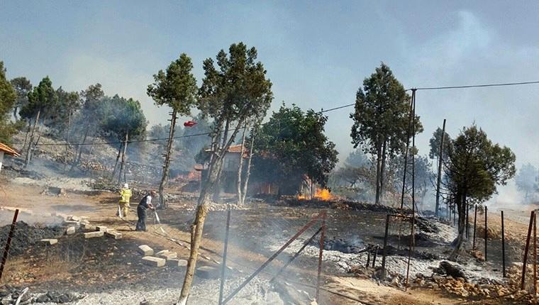 Balıkesir'de yangın ormana sıçradı