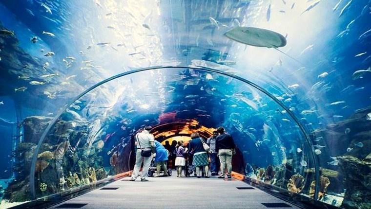 Trabzon'da Tünel Akvaryum projesi başlıyor