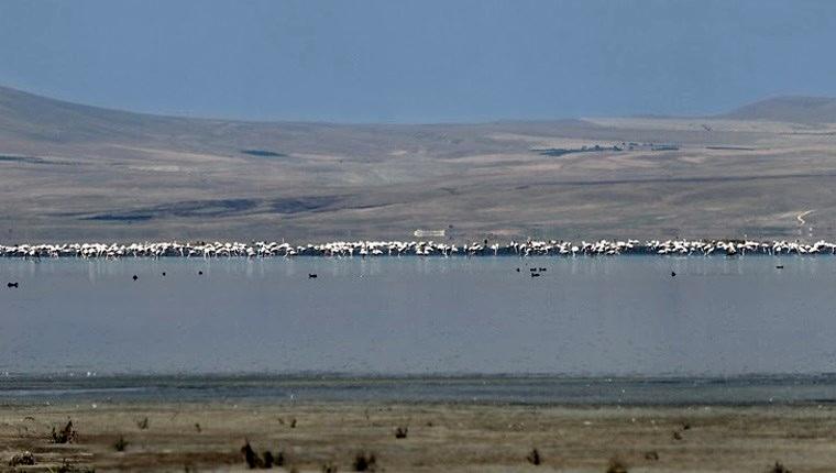 Akşehir Gölü hakkında kesin korunacak hassas alan kararı!