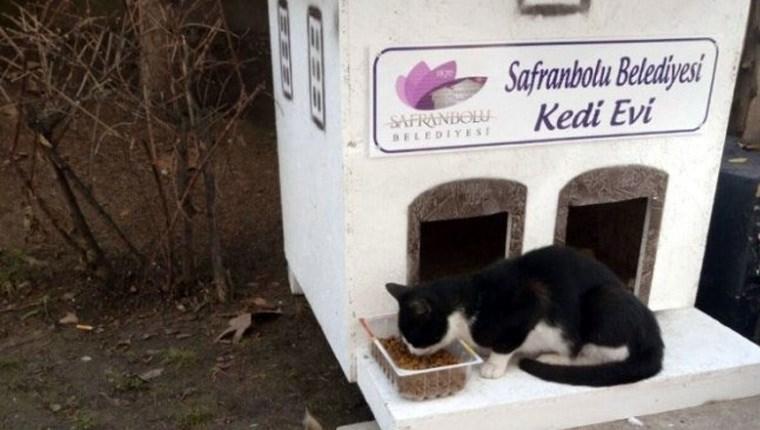 Safranbolu'ya yakışır kedi evleri