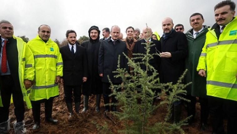 İstanbul Havalimanı için 8 yılda 10 milyon ağaç dikilecek