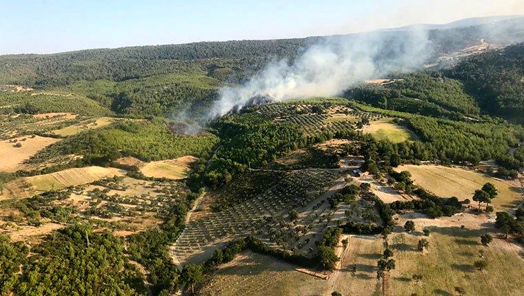 İzmir'in Bergama ilçesinde orman yangını çıktı