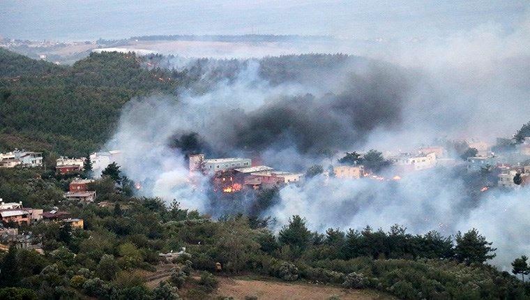 Hatay'daki orman yangını evlere sıçradı