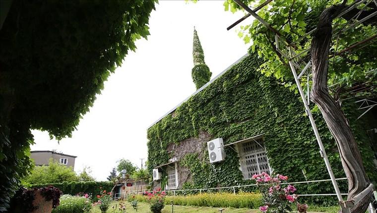 Adana'daki Yeşil Cami, botanik bahçesini andırıyor!