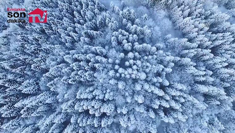 Bolu Dağı'nın eşsiz kar manzarası