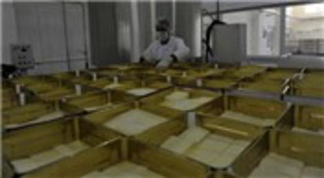 Mitsan Sunger Fabrikasi Mitsan Sunger Fabrikasi Haberleri