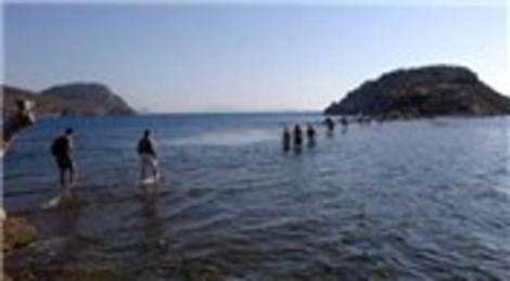 bodrum gumusluk teki tavsan adasi na 5