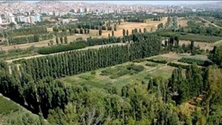 atatürk orman çiftliği