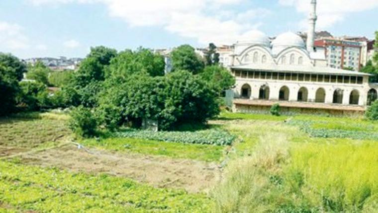 piyalepaşa camii önündeki bostan