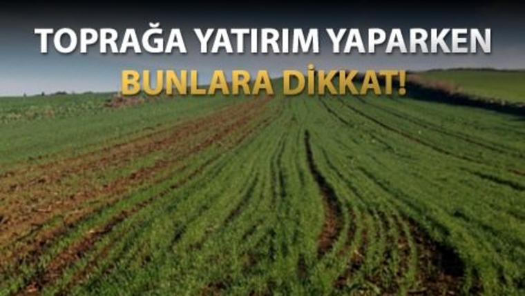 Silvri'de yeşilliklerle kaplı bir arsa