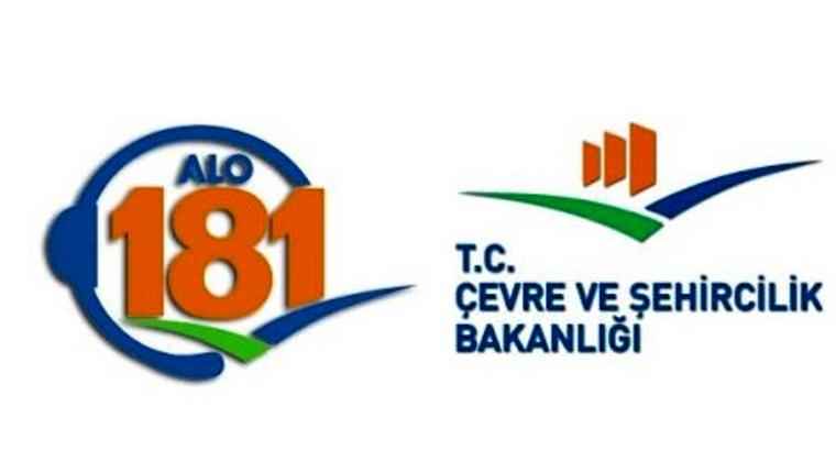 alo 181
