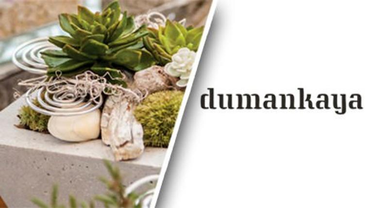 Dumankaya sukulent atölyesi