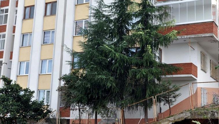 mustafa türk sitesi