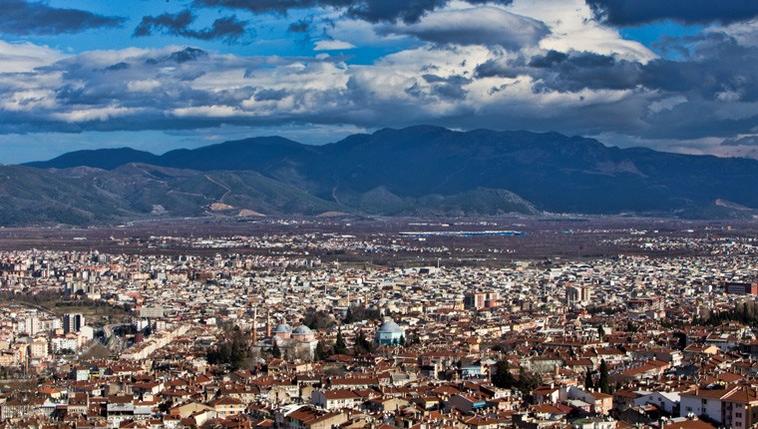bursa